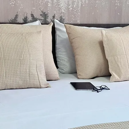 Very Cozy And Comfort House In Location Bansko